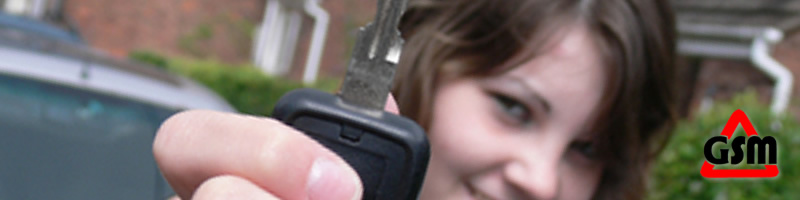 Driving Schools in Woodford Green
